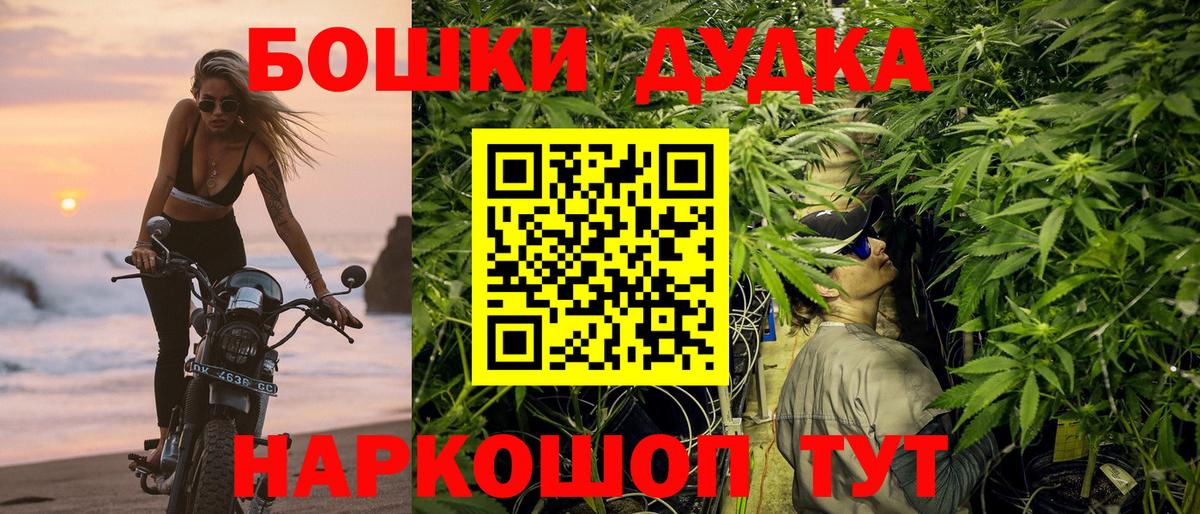 Каннабис индика Дубна